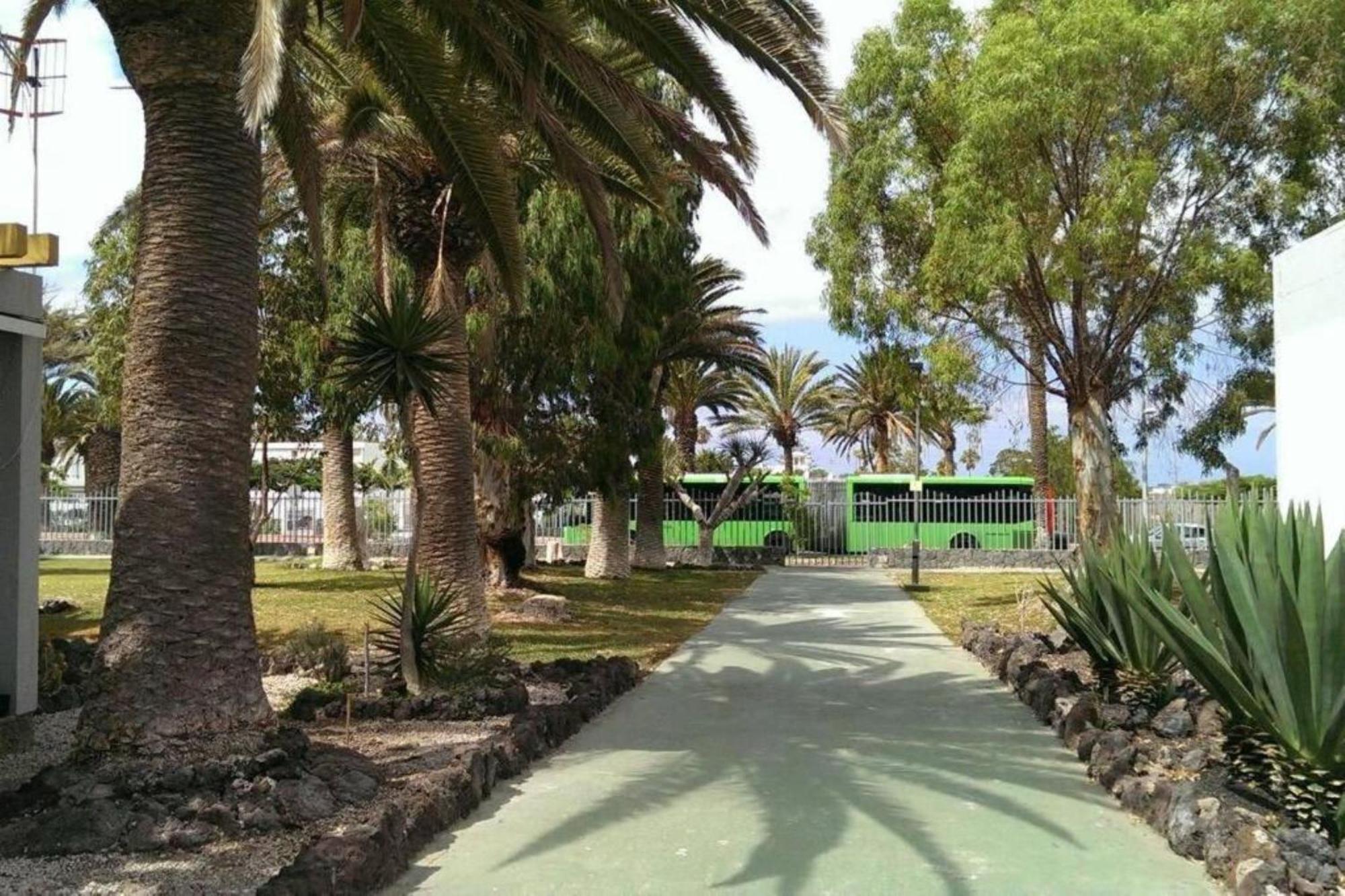 Papagayo Beach Apartments Arona  Dış mekan fotoğraf