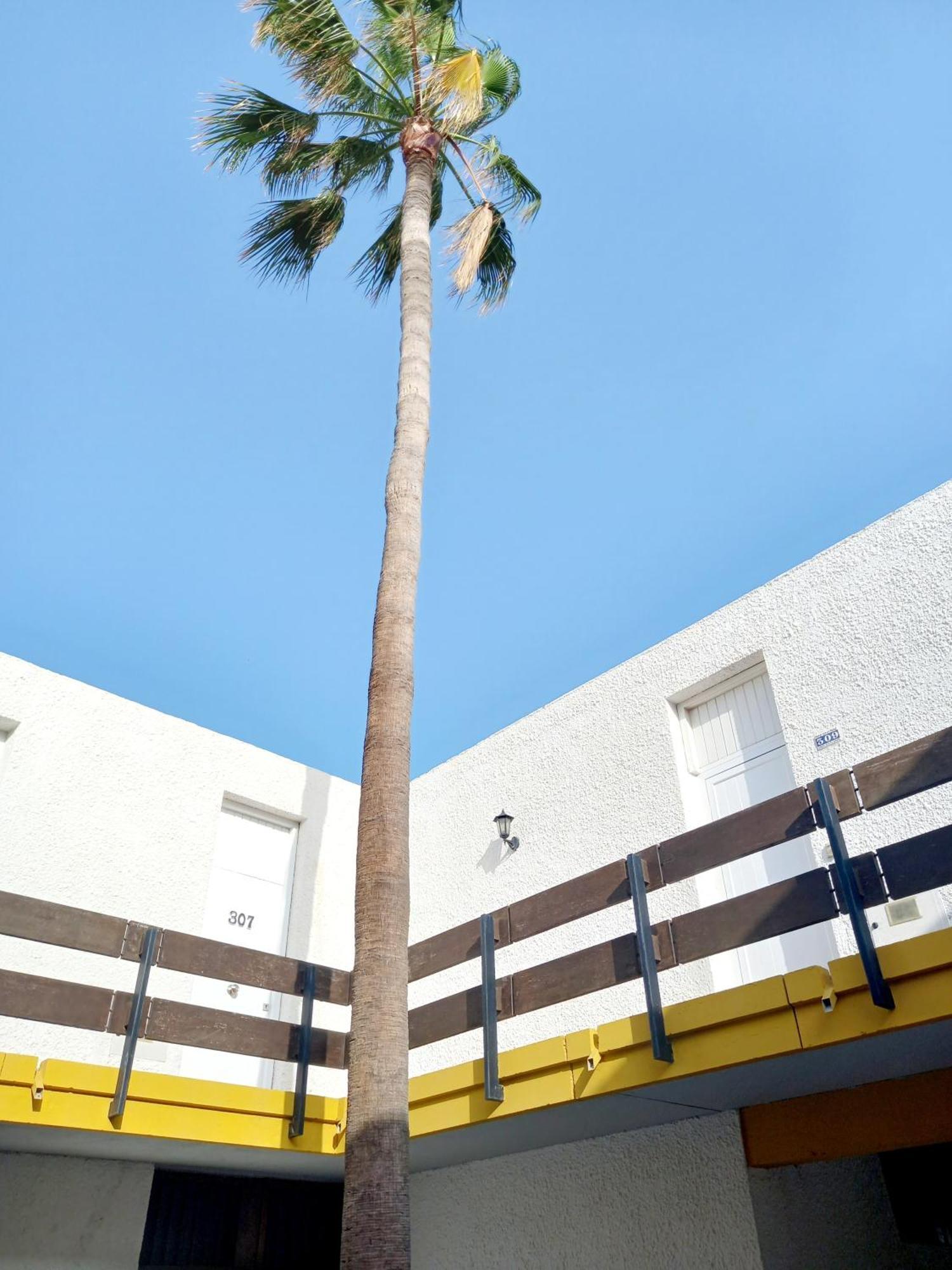 Papagayo Beach Apartments Arona  Dış mekan fotoğraf